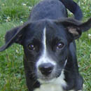 Uma was adopted in July, 2005